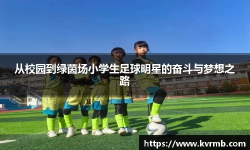 从校园到绿茵场小学生足球明星的奋斗与梦想之路